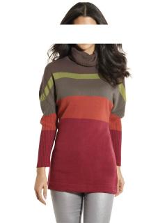 Rollkragenpullover bunt