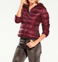 Daunenjacke mit Kapuze bordeaux