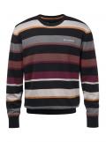 Marken-Herren-Pullover bunt