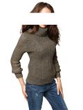 Woll-Rollkragenpullover taupe